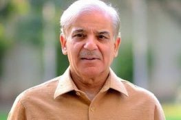India Cannot Unilaterally Suspend Indus Waters Treaty: PM Shehbaz