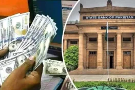 Record-Breaking Remittances: $38.3 Billion Sent to Pakistan in FY 2024–25