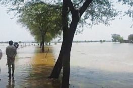Rising Flood Threat in Jhelum as Torrential Rains Inundate Villages