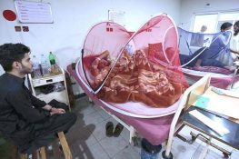 Dengue Cases Surge in Swabi, Over 100 Infected