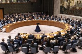 China and Pakistan Condemn Israeli Plans for Gaza at UN Security Council