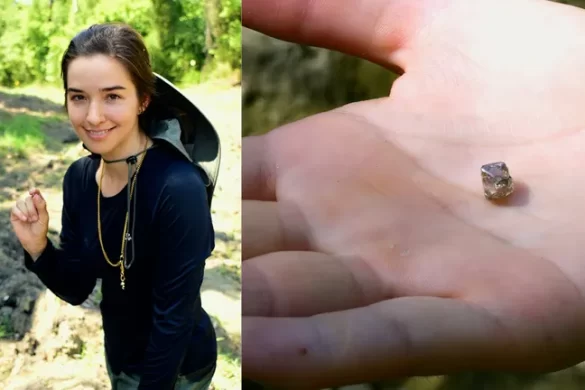 New York Woman Finds Engagement Ring Diamond in Arkansas State Park