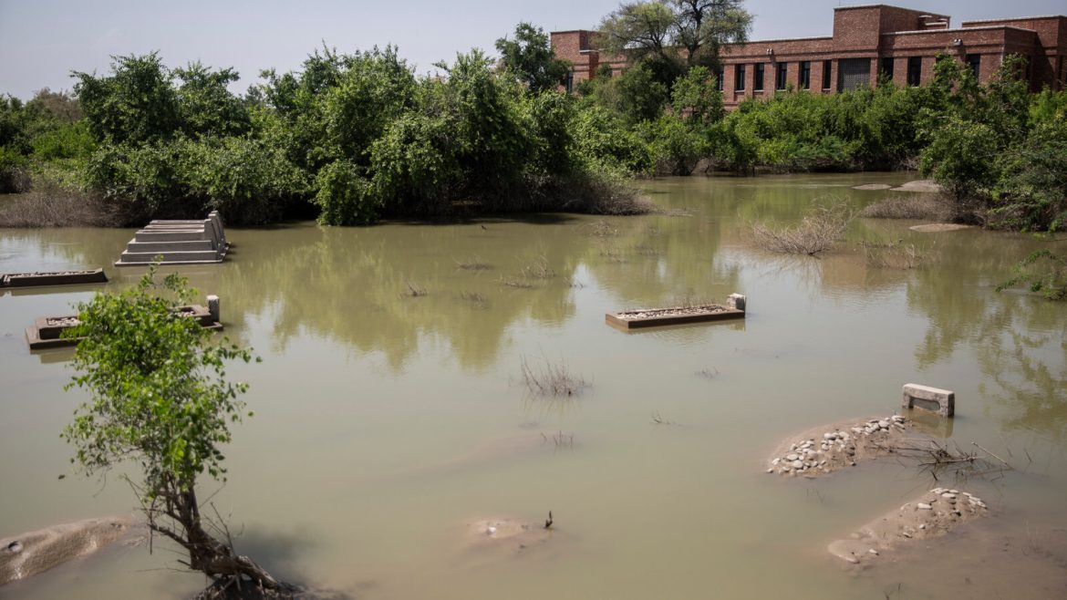 Flooded area with submerged pathways and ruins, surrounded by dense green vegetation and a building in the background.