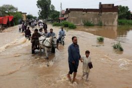 Severe Flooding in Chenab River Triggers Widespread Alert in Punjab