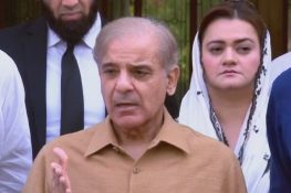 PM Shehbaz Sharif Attends Court via Video Link, Says He Came from Qatar to Fulfil Legal Duty