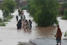 Floods in Punjab: Death Toll Reaches 43, Over 3.3 Million People Affected