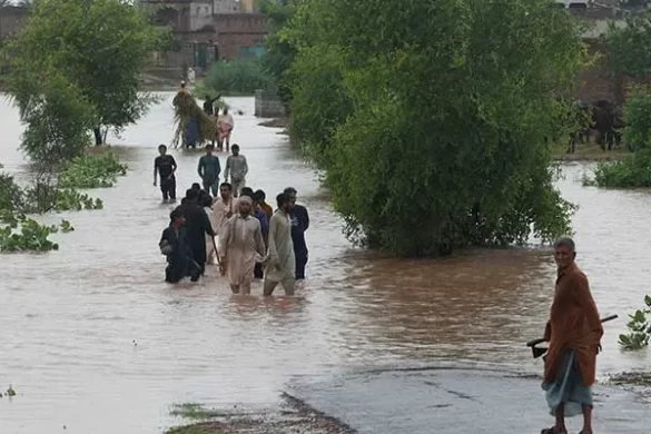 Floods in Punjab: Death Toll Reaches 43, Over 3.3 Million People Affected