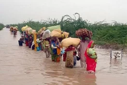 4,000 Villages Affected by Floods, 1.3 Million Acres of Agricultural Land Submerged: DG PDMA Punjab