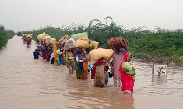 4,000 Villages Affected by Floods, 1.3 Million Acres of Agricultural Land Submerged: DG PDMA Punjab