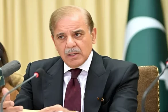 Pakistan Seeks IMF Support for Electricity Bill Relief in Flood-Hit Areas