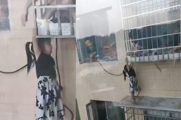 Miracle in Hunan: 4-Year-Old Girl Saved After Falling from 20th Floor