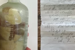 Messages in a Bottle from World War I Discovered After More Than a Century