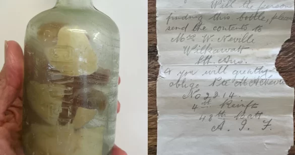 Messages in a Bottle from World War I Discovered After More Than a Century