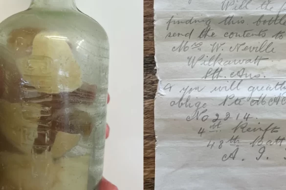 Messages in a Bottle from World War I Discovered After More Than a Century
