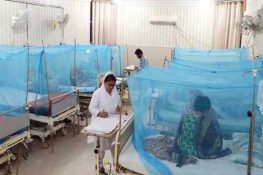 Dengue Cases Continue to Surge in Rawalpindi Despite Changing Weather