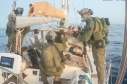 Over 450 Volunteers Detained in Israeli Raid on Gaza-Bound Global Solidarity Flotilla