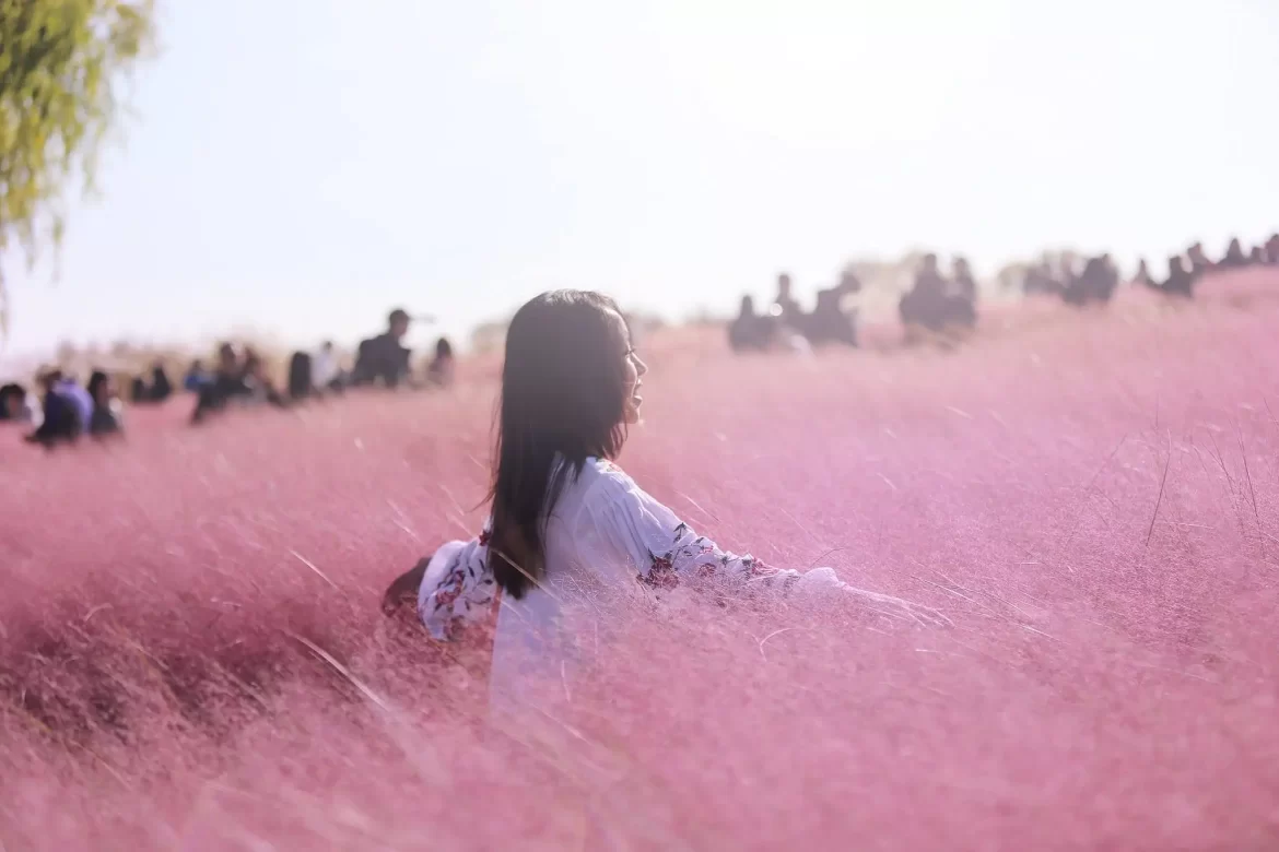 A girl in a white dress stands amid a sea of vibrant pink grass, with subtle sunlight illuminating the scene and people in the background.