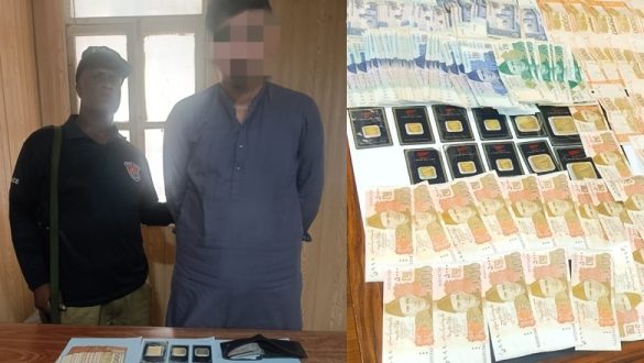 Karachi Domestic Worker Living Lavish Life on Modest Salary Found to Be Millionaire