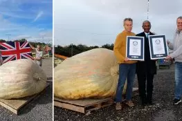 British Twins Set Guinness World Record with World’s Heaviest Pumpkin