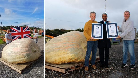British Twins Set Guinness World Record with World’s Heaviest Pumpkin