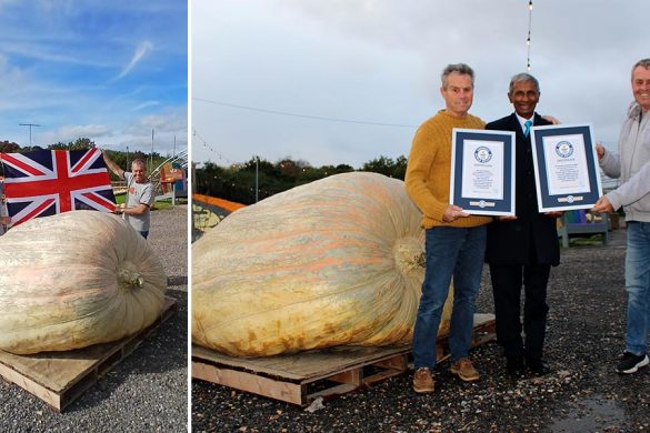 British Twins Set Guinness World Record with World’s Heaviest Pumpkin