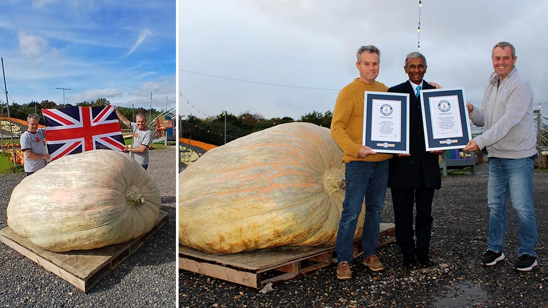 Two people proudly display a large pumpkin, with one holding a British flag and others showing Guinness World Record certificates.
