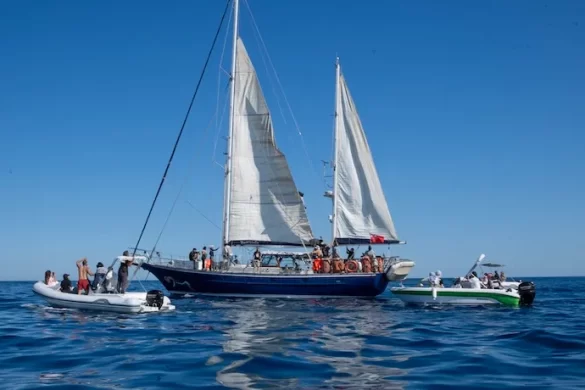 Israeli Forces Intercept Freedom Flotilla Headed to Gaza