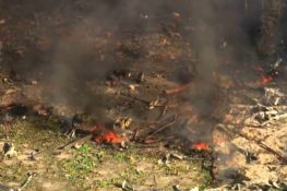 Massive Explosion Rocks Tennessee Ammunition Factory, Building Destroyed