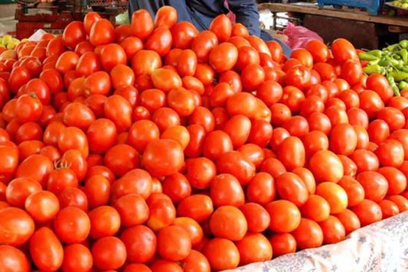 Tomato Prices Soar Near 400 Rupees Per Kilo in Pakistan