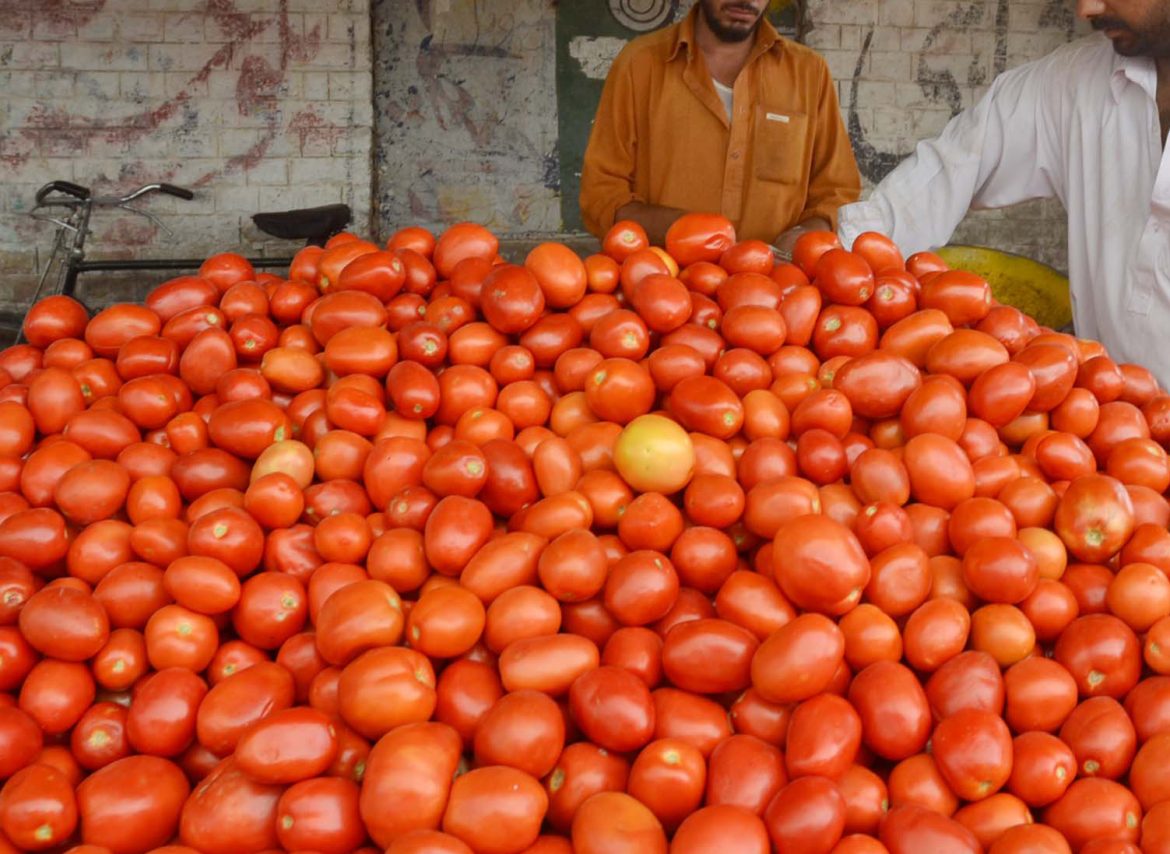 A mound of bright red tomatoes at a market, with two men handling them and a bicycle in the background.