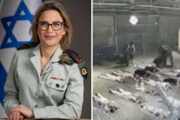 Former Israeli Military Prosecutor Arrested Over Leaked Video of Palestinian Prisoner Abuse