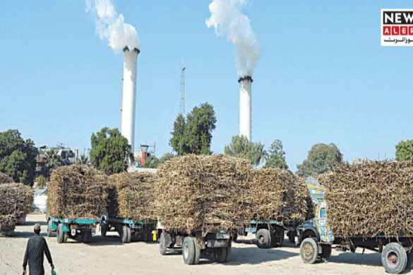 Punjab’s 41 Sugar Mills Begin Crushing Season Amid Hopes of Lower Sugar Prices
