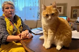 French Woman Fined Over Cat’s Repeated Trespassing into Neighbor’s Garden