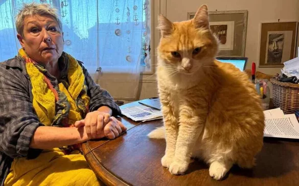 French Woman Fined Over Cat’s Repeated Trespassing into Neighbor’s Garden