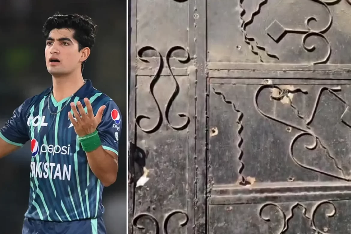 A cricketer in a blue and green jersey gestures on the left, while intricate, weathered designs on a black door are featured on the right.