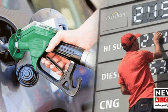 Diesel Prices Cut While Petrol Stays Unchanged in Pakistan