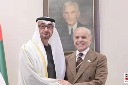 UAE President Meets Pakistani Prime Minister: Leaders Discuss Strengthening Bilateral Ties