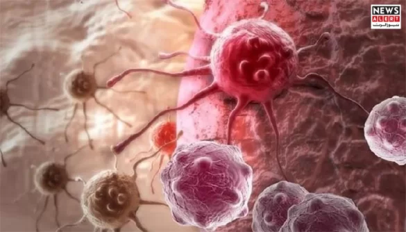 Six Common Foods That May Increase Your Cancer Risk