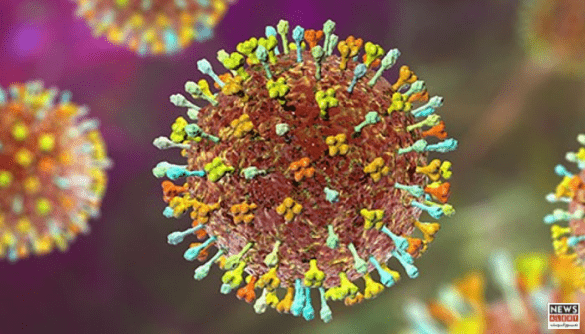 Pakistan on Alert Over Nipah Virus Risk