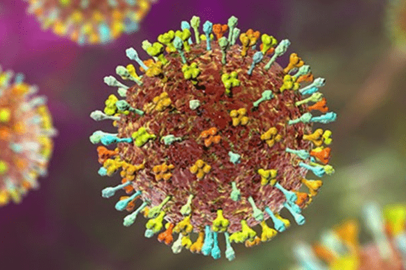 Pakistan on Alert Over Nipah Virus Risk