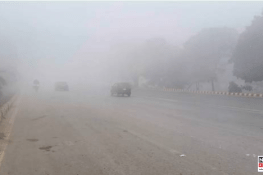 Dense Fog Alert Issued for Punjab as Winter Weather Worsens