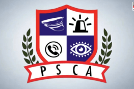 Punjab Blocks Over 100 Fake Websites Exploiting Citizens via E-Traffic Fines