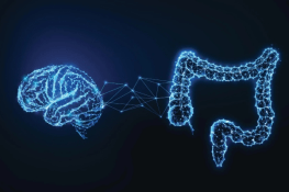 Scientists Discover Surprising Link Between Gut Bacteria and Brain Function