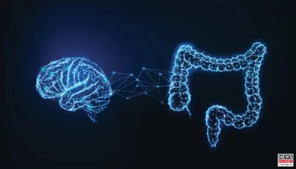 Scientists Discover Surprising Link Between Gut Bacteria and Brain Function