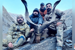 American Hunter Hunts Rare Kashmiri Markhor in Pakistan’s Chitral