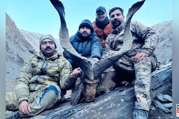 American Hunter Hunts Rare Kashmiri Markhor in Pakistan’s Chitral