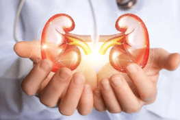 The Best Diet to Protect Your Kidneys from Chronic Disease