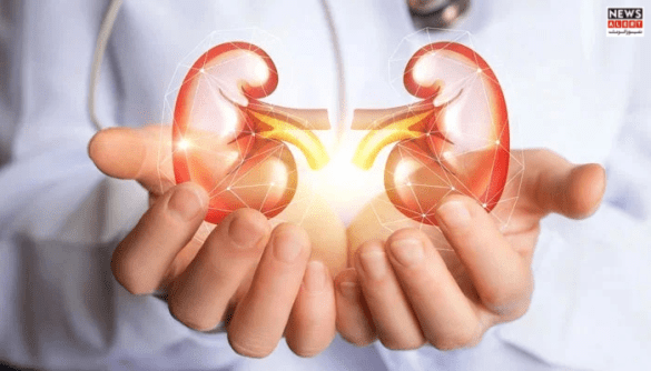 The Best Diet to Protect Your Kidneys from Chronic Disease