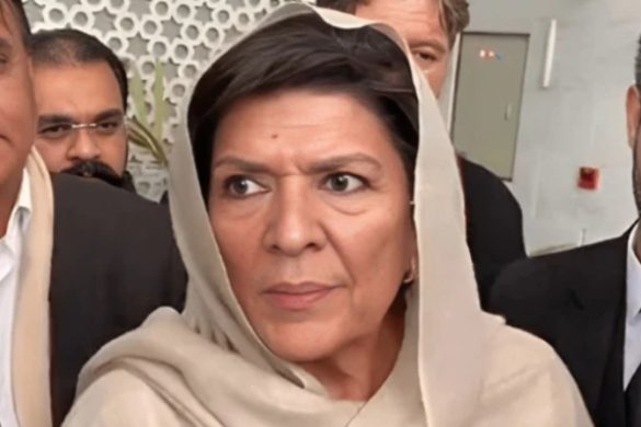 Non-Bailable Arrest Warrants Issued for Aleema Khan in November 26 Protest Case