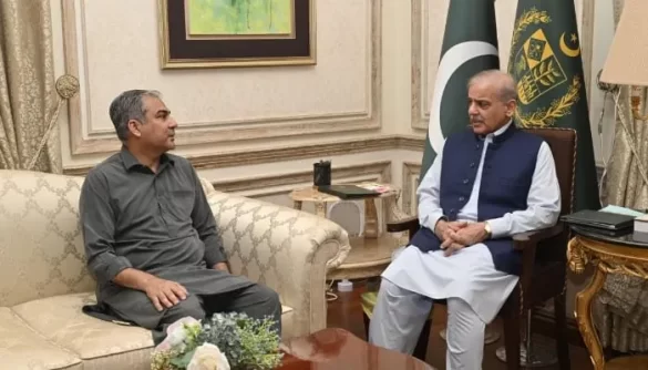 PM Shehbaz to Take Final Call on Pakistan vs India T20 World Cup Clash